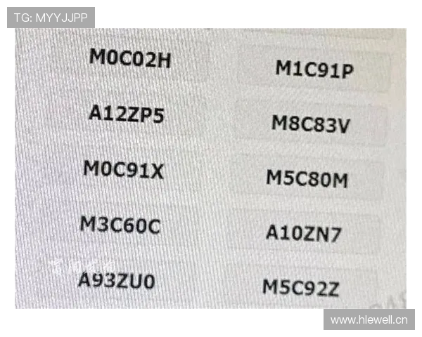 10月29日起,杭州市启用“浙M”号牌