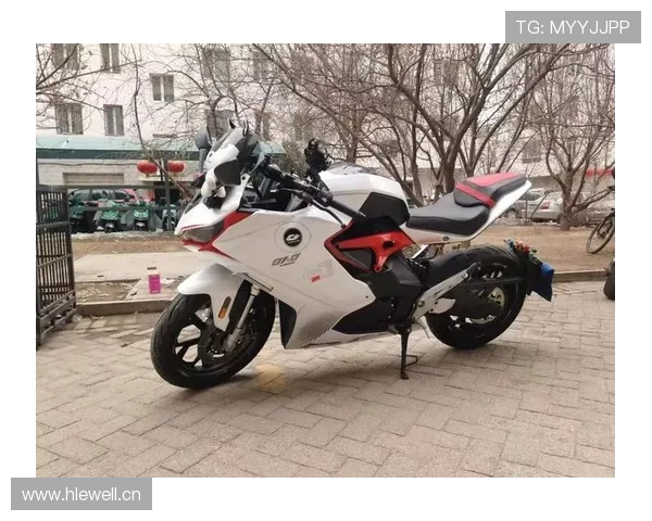 11月热度超高的几款电摩新车