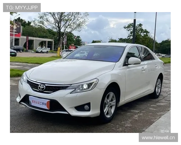 16万入手锐志，同事都叫转让给他，不知道赚还是亏